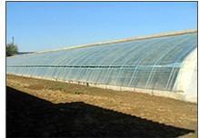 生態 農業(ye) 工程建(jian)設(she)的(de)公司(si)請選擇(ze)青(qing)州市(shi)憶美(mei)園林(lin)溫(wen)室(shi),生態 農業(ye) 工程建(jian)設(she)的(de)公司(si)請選擇(ze)青(qing)州市(shi)憶美(mei)園林(lin)溫(wen)室(shi)生產廠(chang)家(jia),生態 農業(ye) 工程建(jian)設(she)的(de)公司(si)請選擇(ze)青(qing)州市(shi)憶美(mei)園林(lin)溫(wen)室(shi)價格(ge)