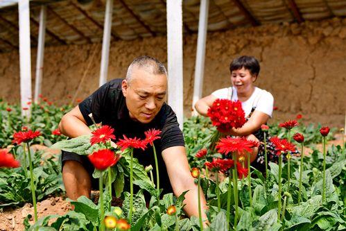 花木(mu)逢(feng)春(chun)產(chan)業(ye)興 南陽(yang)市(shi)花卉(hui)苗木產(chan)業(ye)發(fa)展(zhan)探(tan)析