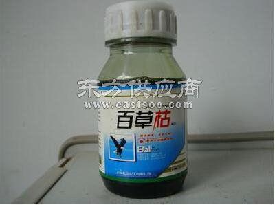 二月(yue)藍(lan)綠化(hua)器(qi)材(cai)出(chu)售與(yu)苗(miao)木營養杯供(gong)應商介紹